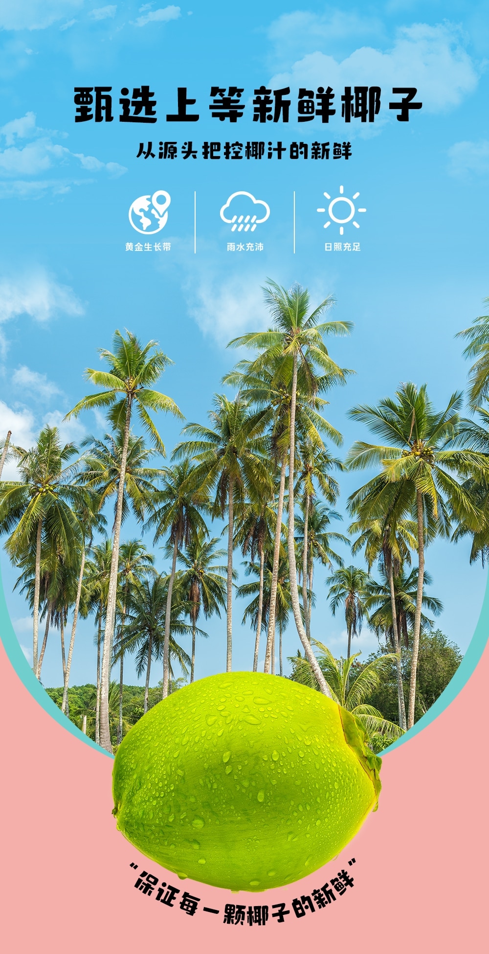 椰子水椰汁380ml-詳情頁切片_06.jpg