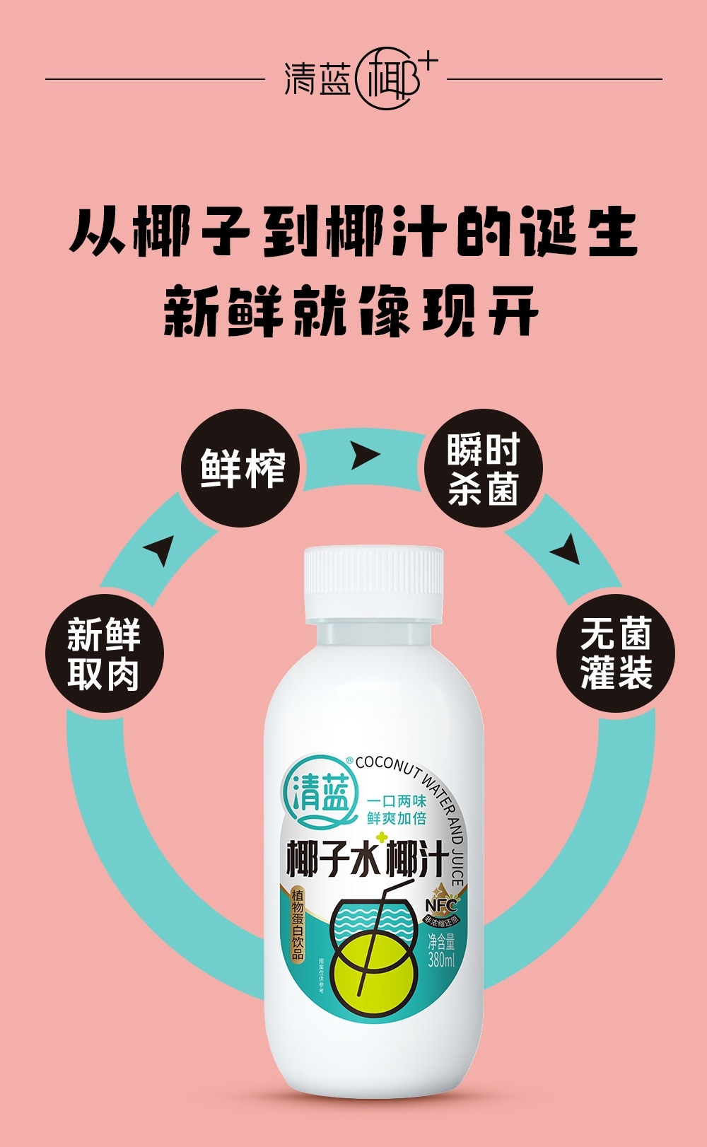 椰子水椰汁380ml-詳情頁切片_07.jpg